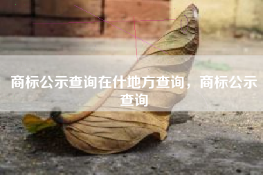 商标公示查询在什地方查询，商标公示查询