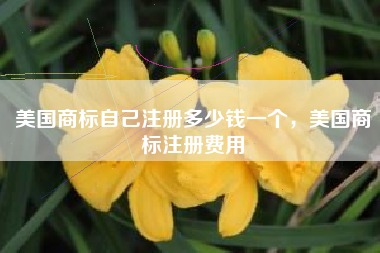 美国商标自己注册多少钱一个,美国商标注册费用 美国商标自己注册多少钱一个,美国商标注册费用