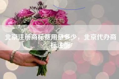 北京注册商标费用是多少,北京代办商标注册 北京注册商标费用是多少,北京代办商标注册