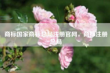 商标国家商标总局注册官网,商标注册总局 商标国家商标总局注册官网,商标注册总局