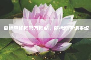 商标查询网官方网站，商标网查询系统