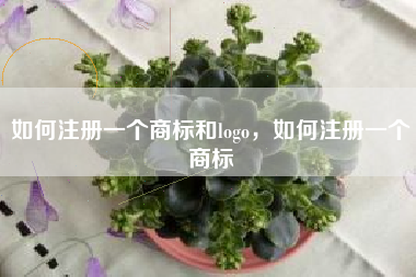 如何注册一个商标和logo，如何注册一个商标