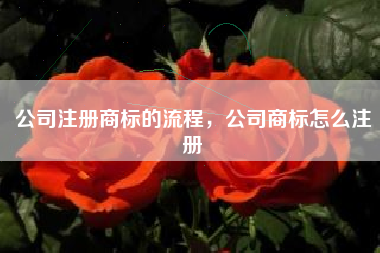 公司注册商标的流程，公司商标怎么注册