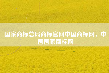 国家商标总局商标官网中国商标网，中国国家商标网