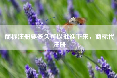 商标注册要多久可以批准下来，商标代注册