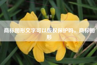 商标图形文字可以版权保护吗，商标图形