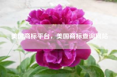 美国商标平台，美国商标查询网站