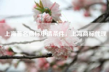 上海著名商标申请条件，上海商标代理