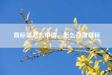 商标证怎么申请，怎么办理商标
