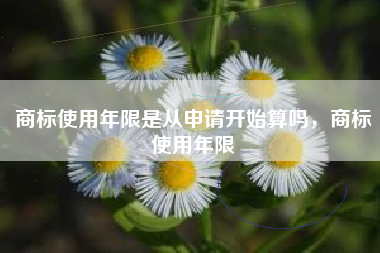 商标使用年限是从申请开始算吗，商标使用年限
