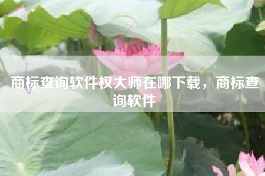 商标查询软件权大师在哪下载，商标查询软件