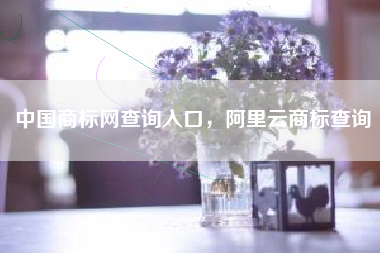 中国商标网查询入口，阿里云商标查询