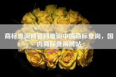 商标查询网官网查询中国商标查询，国内商标查询网站