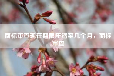 商标审查现在期限压缩至几个月，商标审查