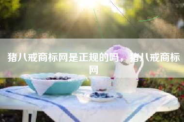 猪八戒商标网是正规的吗，猪八戒商标网
