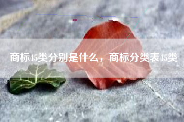 商标45类分别是什么，商标分类表45类