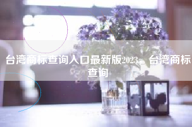 台湾商标查询入口最新版2023，台湾商标查询