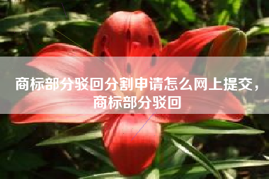 商标部分驳回分割申请怎么网上提交，商标部分驳回