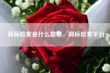 商标检索是什么意思，商标检索平台