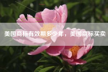 美国商标有效期多少年，美国商标买卖