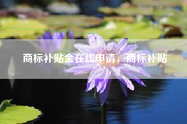 商标补贴金在线申请，商标补贴