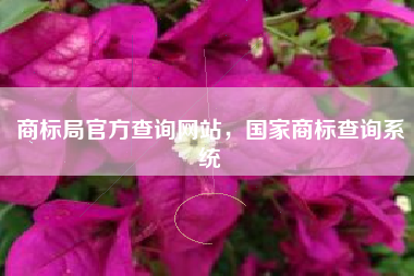商标局官方查询网站，国家商标查询系统