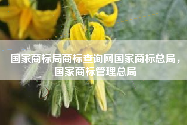 国家商标局商标查询网国家商标总局，国家商标管理总局