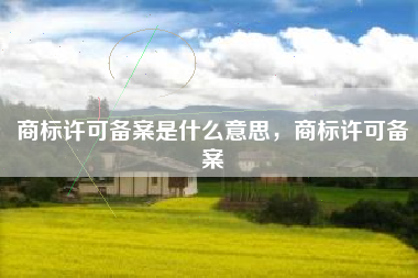 商标许可备案是什么意思，商标许可备案