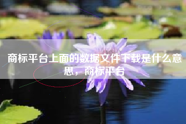 商标平台上面的数据文件下载是什么意思，商标平台