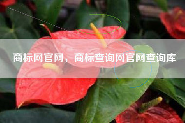 商标网官网，商标查询网官网查询库