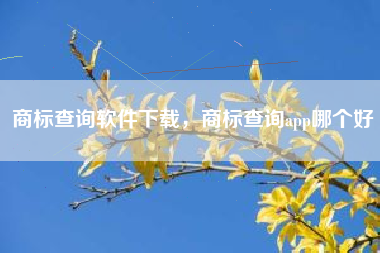商标查询软件下载，商标查询app哪个好
