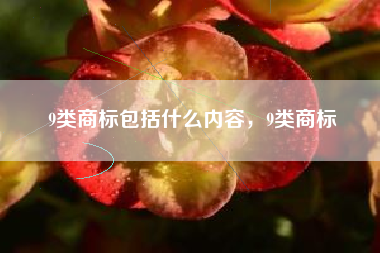 9类商标包括什么内容，9类商标