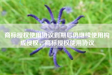 商标授权使用协议到期后仍继续使用构成侵权，商标授权使用协议