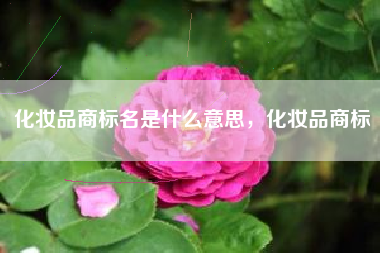 化妆品商标名是什么意思，化妆品商标