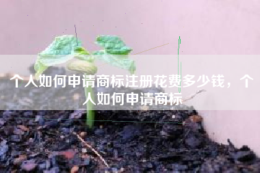 个人如何申请商标注册花费多少钱,个人如何申请商标 个人如何申请商标注册花费多少钱,个人如何申请商标