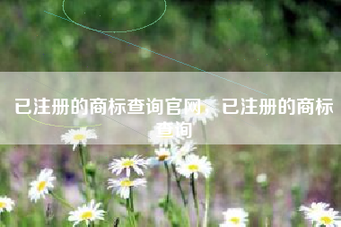 已注册的商标查询官网,已注册的商标查询 已注册的商标查询官网,已注册的商标查询