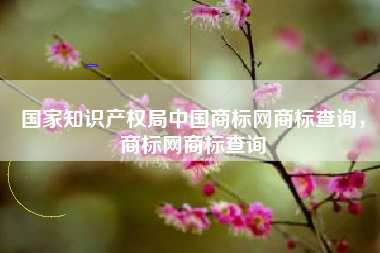 国家知识产权局中国商标网商标查询，商标网商标查询