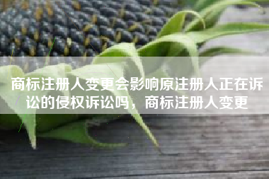 商标注册人变更会影响原注册人正在诉讼的侵权诉讼吗,商标注册人变更 商标注册人变更会影响原注册人正在诉讼的侵权诉讼吗,商标注册人变更