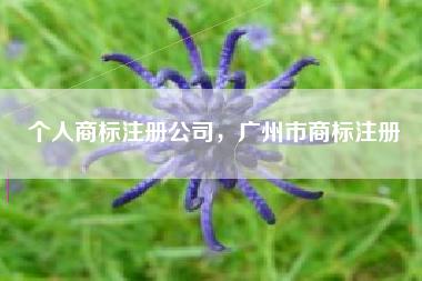 个人商标注册公司,广州市商标注册 个人商标注册公司,广州市商标注册