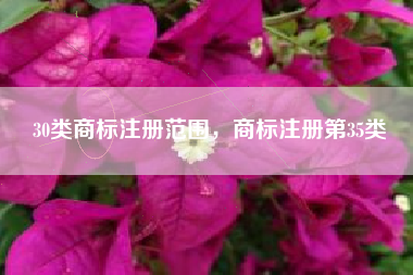 30类商标注册范围,商标注册第35类 30类商标注册范围,商标注册第35类