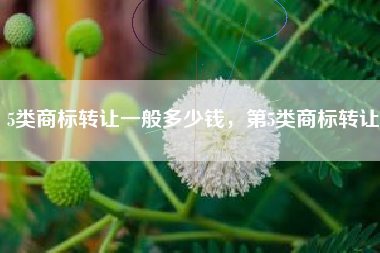 5类商标转让一般多少钱，第5类商标转让