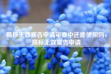 商标无效宣告申请审查中还能使用吗，商标无效宣告申请