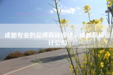 成都专业的品牌商标设计，成都商标设计公司