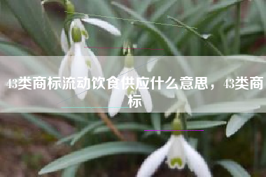 43类商标流动饮食供应什么意思，43类商标