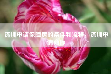 深圳申请保障房的条件和流程，深圳申请商标