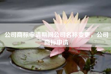 公司商标申请期间公司名称变更，公司商标申请