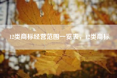 12类商标经营范围一览表，12类商标