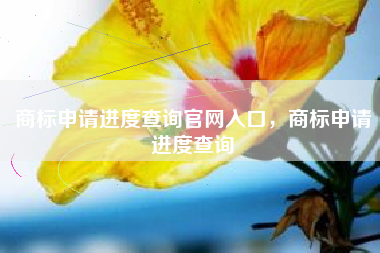 商标申请进度查询官网入口，商标申请进度查询