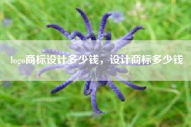 logo商标设计多少钱，设计商标多少钱