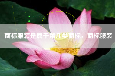 商标服装是属于第几类商标，商标服装
